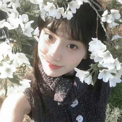 少数意见
